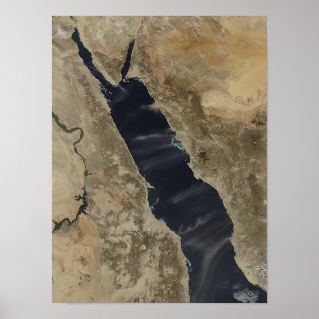 Pôster Pingentes de poeira sobre o mar Vermelho (Frente)