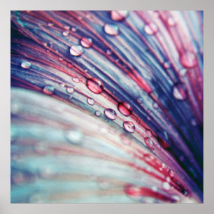 Poster Pingos de chuva no abstrato cor-de-rosa do macro