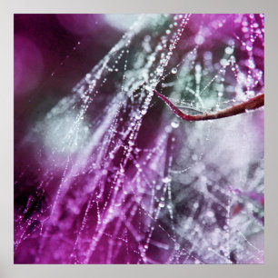 Poster Pingos de chuva no abstrato roxo do macro do