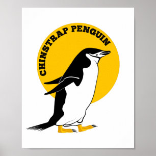 Poster Pinguim-chinês