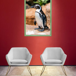 Poster Pinguim Galápagos
