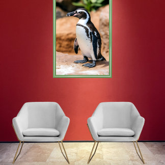 Poster Pinguim Galápagos