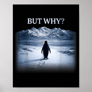 Poster Pinguim mas por que ir em direção às montanhas pin