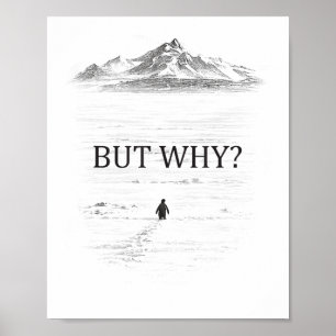 Poster Pinguim Mas Por Que Montanhas