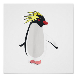 Pôster Pinguim Rockhopper Fofo Animal Antártico Engraçado