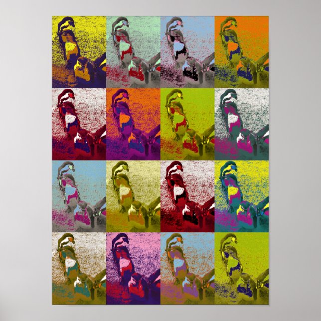 PÔSTER PINGUINS (Frente)