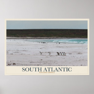 Poster Pinguins ao Longo de uma Costa Sul