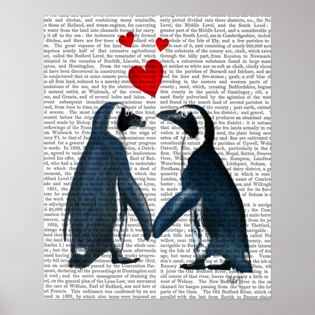 Pôster Pinguins Com Corações De Amor (Frente)