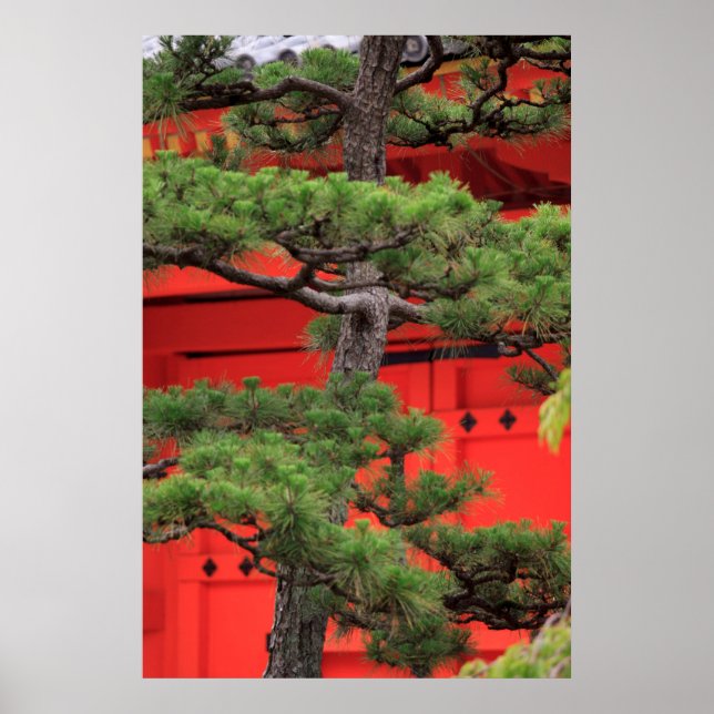Poster Pinheiro Bonsai (Frente)