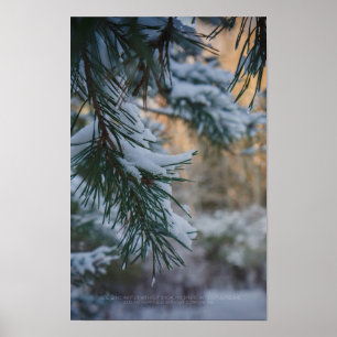 Poster Pinheiro coberto de neve na floresta de inverno