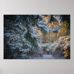 Poster Pinheiro coberto de neve na floresta de inverno