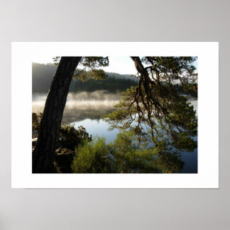Poster Pinheiro Inclinado em Derwentwater: o Distrito do