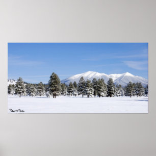 Pôster Pinheiros cobertas por neve e Arizona de picos de