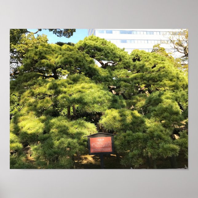 Poster Pinheiros com 300 anos (Frente)