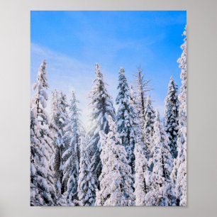 Poster Pinheiros de inverno na neve