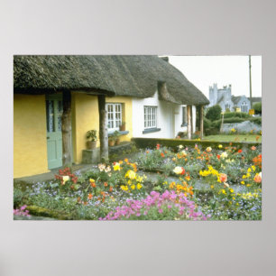 Pôster Pink Adare, Flores Limerick