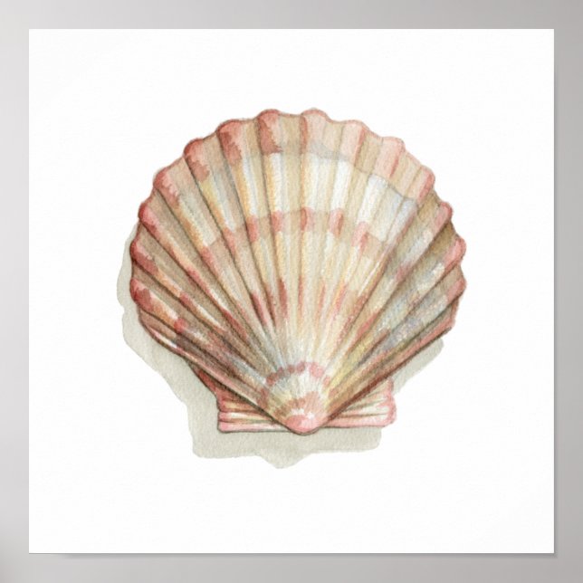 Pôster Pink and Cream Seashell (Frente)