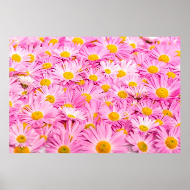 Poster Pink and yellow flowers background  (Frente)