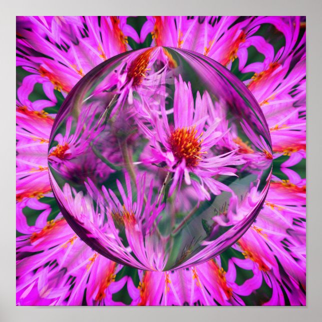 Poster Pink Aster Flower Energies Abstrato Art (Frente)