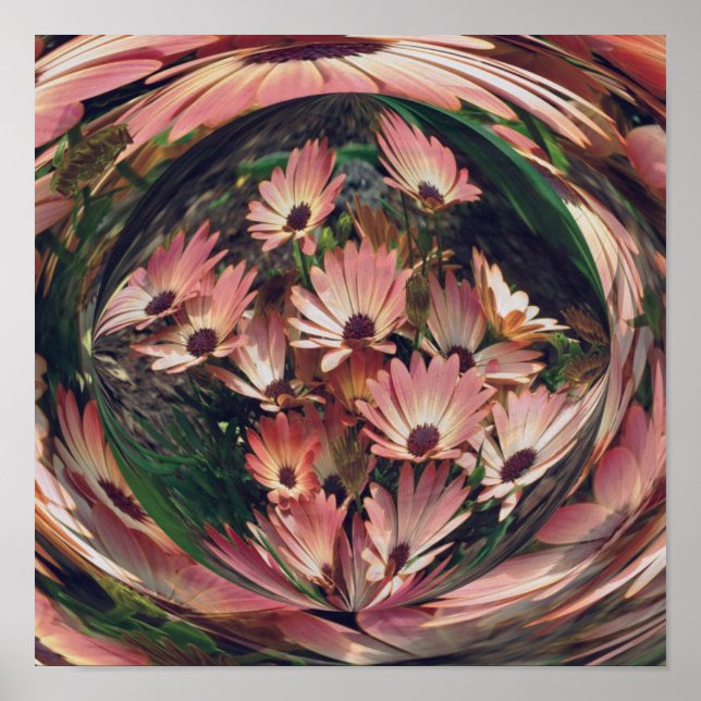 Poster Pink Daisy Energies Floral Abstrato Art (Frente)