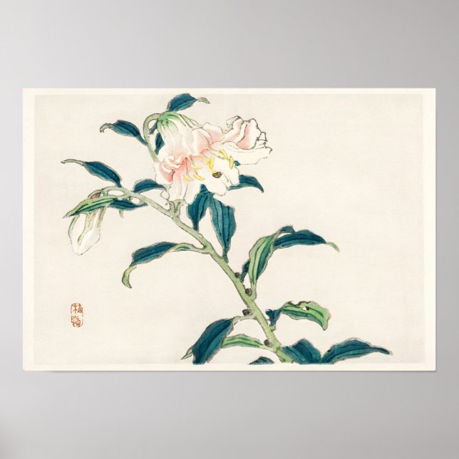 Poster  Pink Flower (Frente)