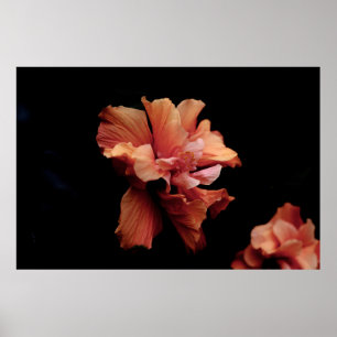 POSTER PINK FLOWER NO FUNDO PRETO