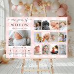 Poster Pink Gingham Primeiro Marco de Foto de Aniversário<br><div class="desc">Comemore os primeiros 12 meses do seu pequeno com este primeiro aniversário de um ano de um sinal de fotos de marcos. Personalize o sinal com as suas imagens mensais de marco e os fatos divertidos do bebê. Para adicionar texto ao design, basta selecionar o botão "Personalizar o computador" acima...</div>