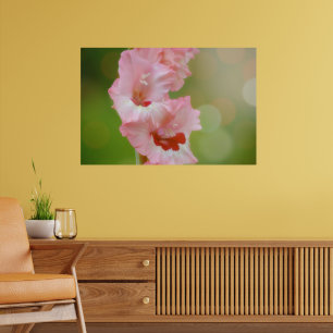Poster Pink Happy Sunshine Gladiolus Flores Arty