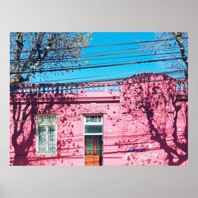 POSTER PINK HOUSE (Frente)