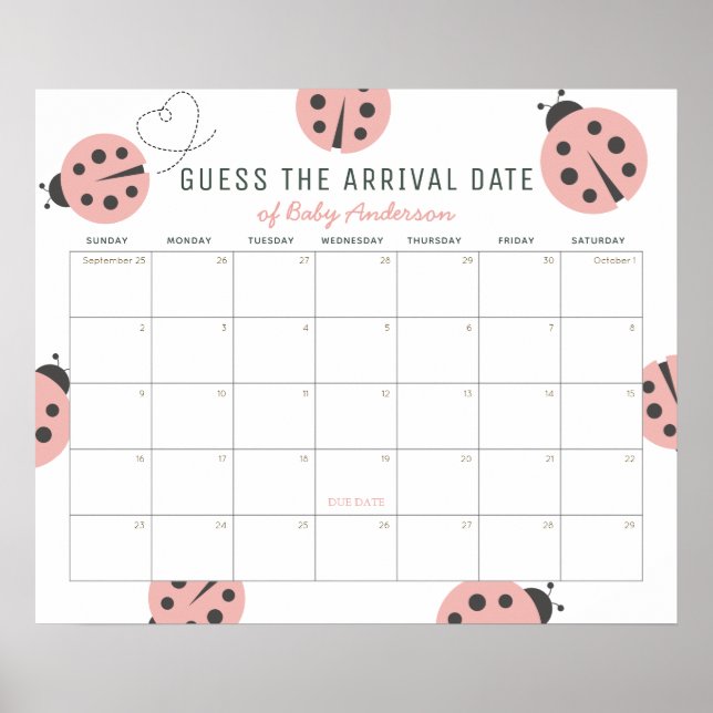 Poster Pink Ladybugs Guess The Due Date Calendar (Frente)