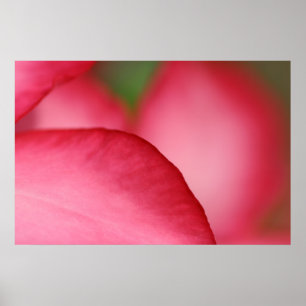 Pôster Pink Leaf