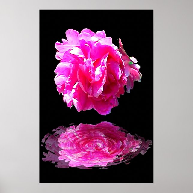 Pôster Pink Peony (Frente)