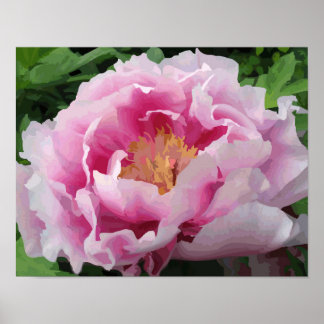 Pôster Pink Peony Watercolor Fine Floral