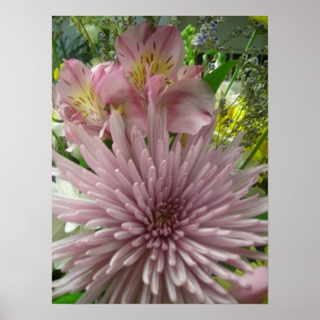 Pôster Pinkly Pastel (Frente)