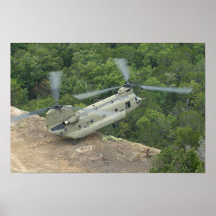 Poster Pinnacle Maneuver