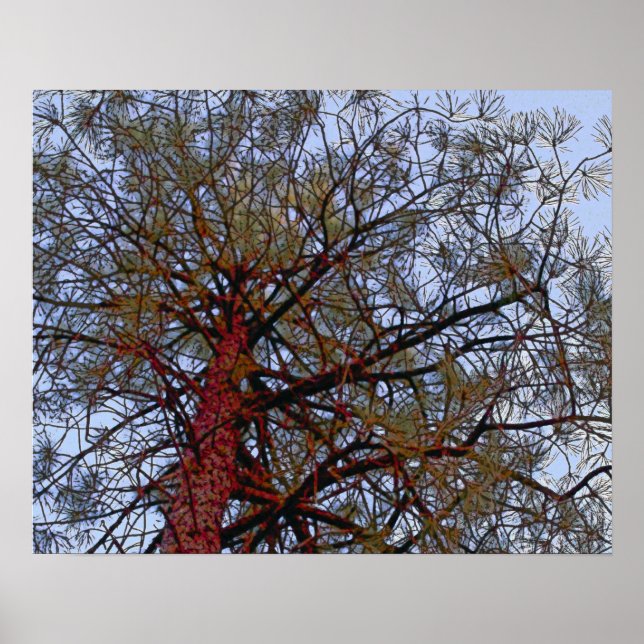 Poster Pino com tronco vermelho (detalhe) (Frente)