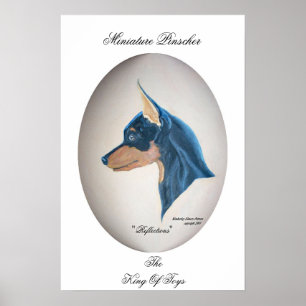 Poster Pinscher diminuto