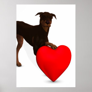 Poster Pinscher do Doberman com coração