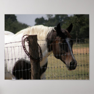 Pôster Pinte o cavalo e a cerca