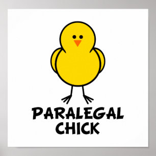 Poster Pintinho do Paralegal