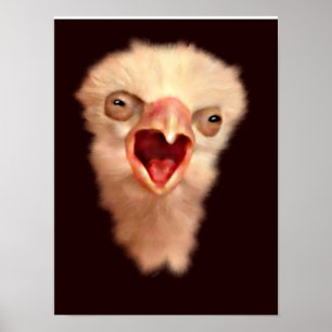 Pôster Pintinho Falcão Antigo
