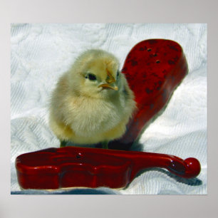 Pôster Pintinho Musical