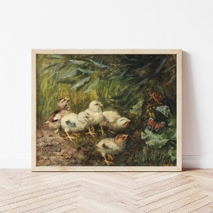 Poster Pintinhos e borboleta   Franz Xaver Birkinger