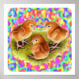 Pôster Pintinhos vermelhos do bebê