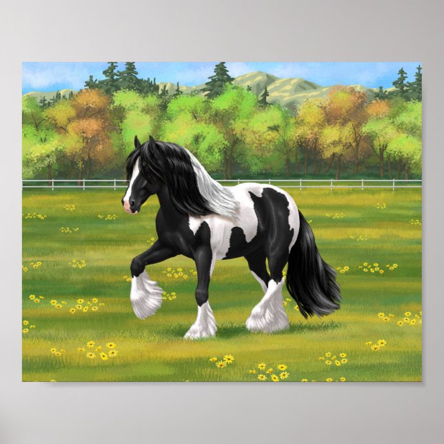 Poster Pinto Negro Piebald Gypsy Cavalo de Rascunho de Va (Frente)