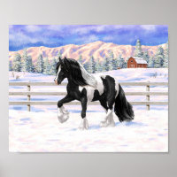 Pinto Negro Piebald Gypsy Cavalo de Rascunho de Va