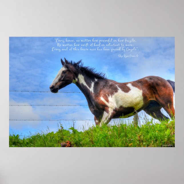 Pôster Pinto Paint & Clouds Ranch Horse w Poem Photo (Frente)