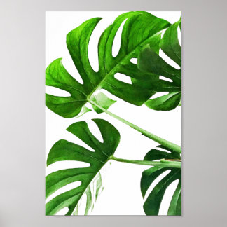Poster Pintor de aquarela da folha Monstera #5