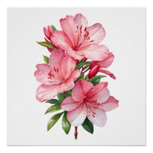 Pôster Pintor de aquarela de flor Azalea