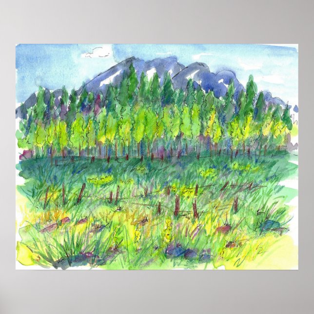Poster Pintor de Aquarelas da Flor das Montanhas (Frente)